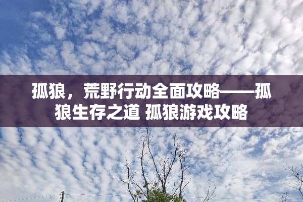 孤狼，荒野行动全面攻略——孤狼生存之道 孤狼游戏攻略