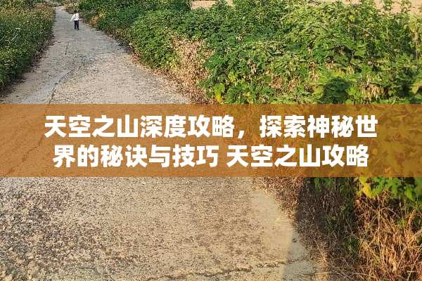 天空之山深度攻略，探索神秘世界的秘诀与技巧 天空之山攻略