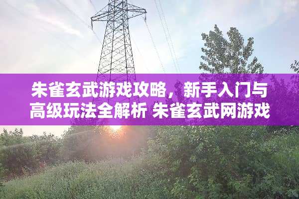 朱雀玄武游戏攻略，新手入门与高级玩法全解析 朱雀玄武网游戏攻略