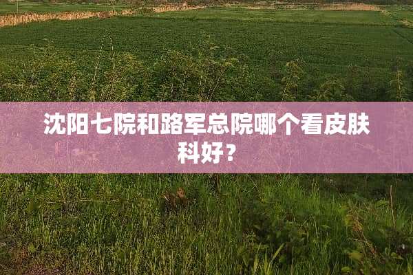 沈阳七院和路军总院哪个看皮肤科好？