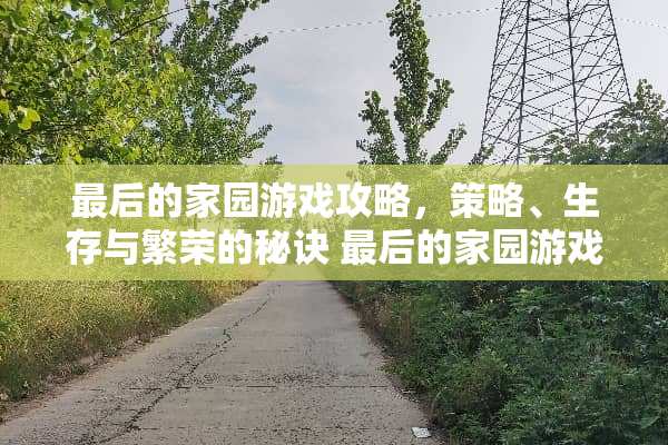 最后的家园游戏攻略，策略、生存与繁荣的秘诀 最后的家园游戏攻略