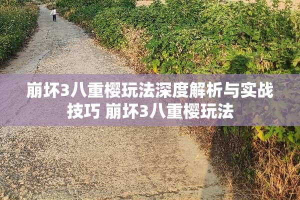 崩坏3八重樱玩法深度解析与实战技巧 崩坏3八重樱玩法