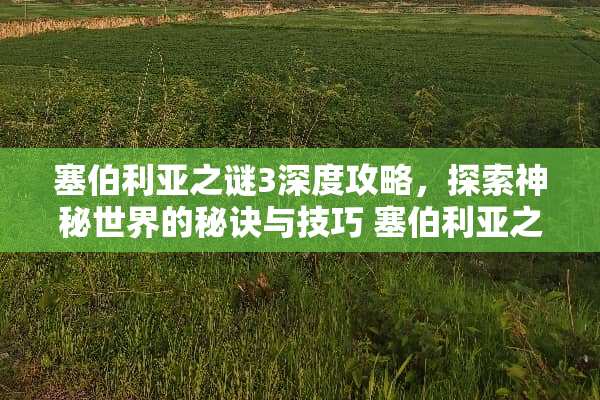 塞伯利亚之谜3深度攻略，探索神秘世界的秘诀与技巧 塞伯利亚之谜3攻略