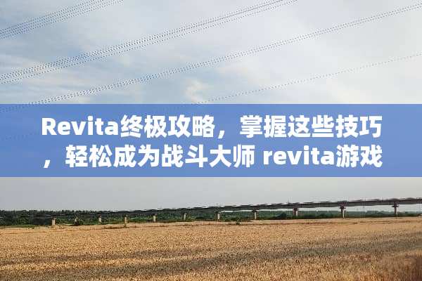 Revita终极攻略，掌握这些技巧，轻松成为战斗大师 revita游戏攻略
