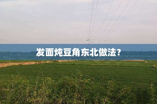 发面炖豆角东北做法？