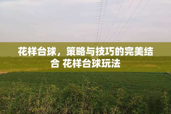 花样台球，策略与技巧的完美结合 花样台球玩法