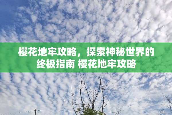 樱花地牢攻略，探索神秘世界的终极指南 樱花地牢攻略