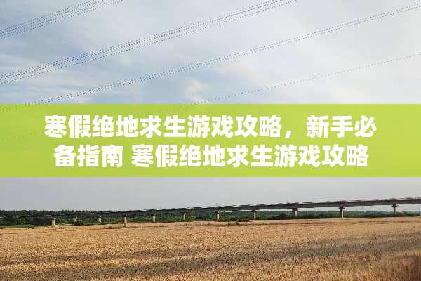 寒假绝地求生游戏攻略，新手必备指南 寒假绝地求生游戏攻略