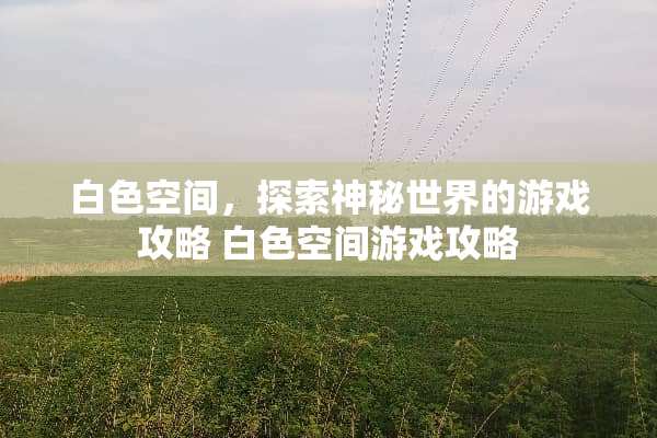 白色空间，探索神秘世界的游戏攻略 白色空间游戏攻略