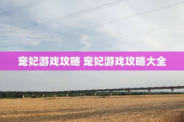 宠妃游戏攻略 宠妃游戏攻略大全