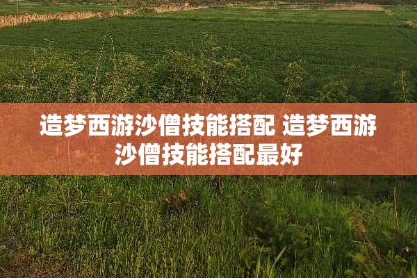 造梦西游沙僧技能搭配 造梦西游沙僧技能搭配最好