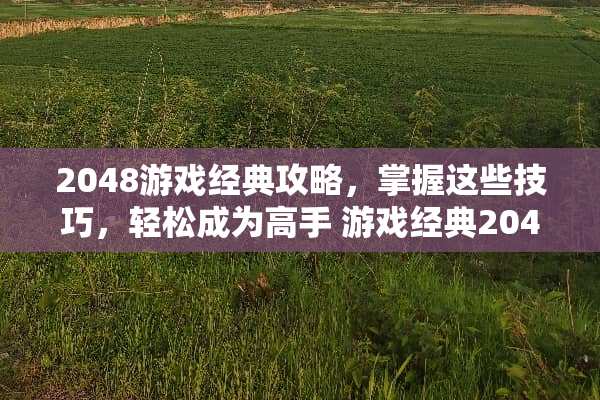 2048游戏经典攻略，掌握这些技巧，轻松成为高手 游戏经典2048攻略