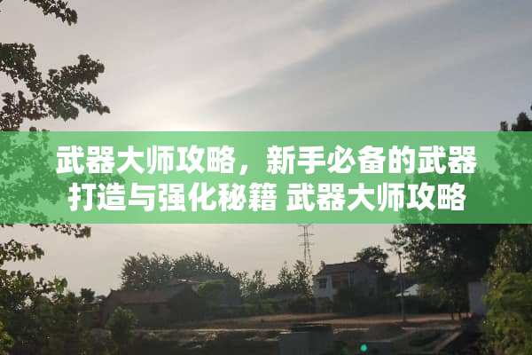 **大师攻略，新手必备的**打造与强化秘籍 **大师攻略