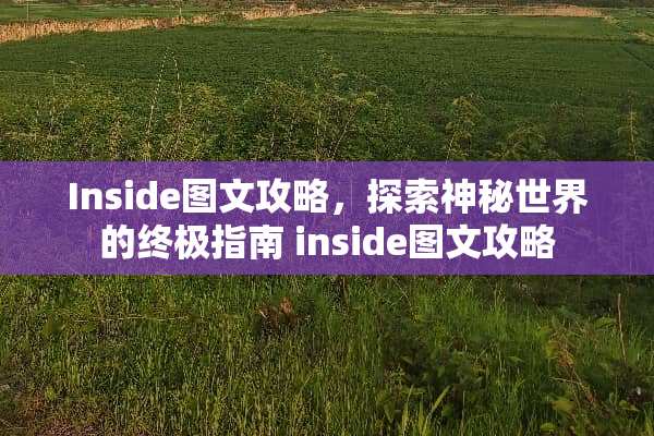 Inside图文攻略，探索神秘世界的终极指南 inside图文攻略
