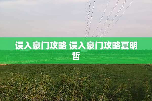 误入豪门攻略 误入豪门攻略夏明哲