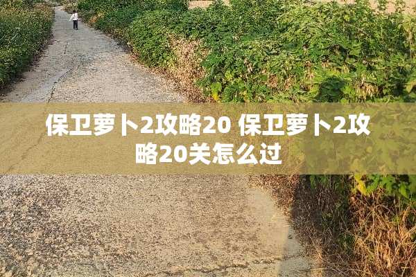 保卫萝卜2攻略20 保卫萝卜2攻略20关怎么过