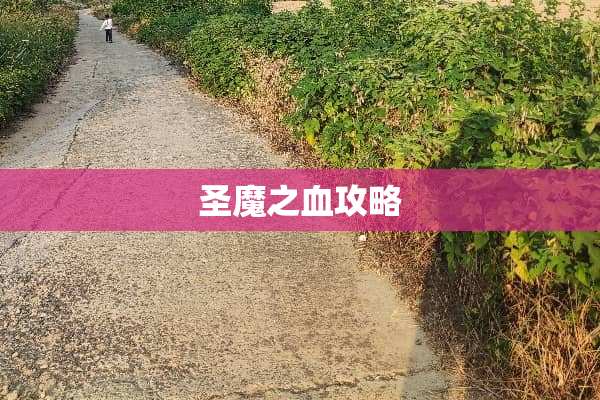 圣魔之血攻略