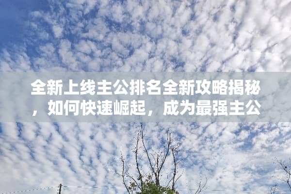 全新上线主公排名全新攻略揭秘，如何快速崛起，成为最强主公？ 主公排名攻略游戏