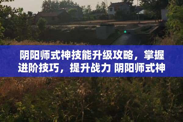 *阳师式神技能升级攻略，掌握进阶技巧，提升战力 *阳师式神技能怎么升级