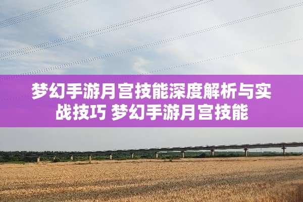 梦幻手游月宫技能深度解析与实战技巧 梦幻手游月宫技能