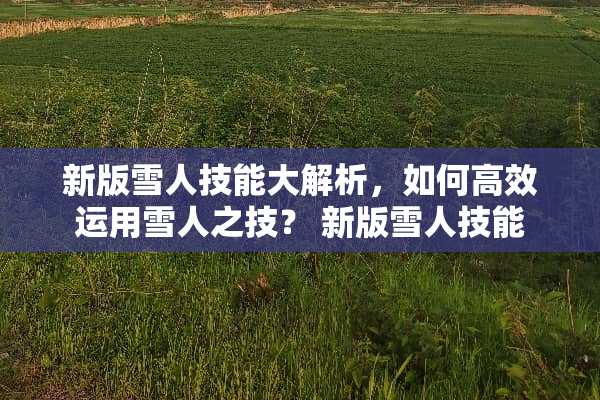 新版雪人技能大解析，如何高效运用雪人之技？ 新版雪人技能