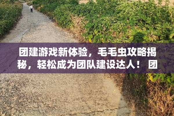 团建游戏新体验，毛毛虫攻略揭秘，轻松成为团队建设达人！ 团建游戏毛毛虫攻略
