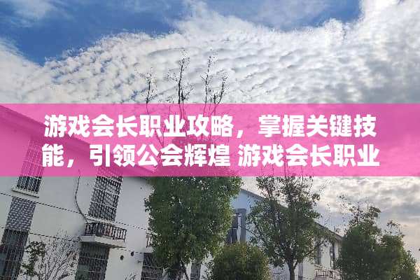 游戏会长职业攻略，掌握关键技能，引领公会辉煌 游戏会长职业攻略