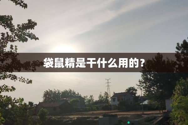 袋鼠精是干什么用的？