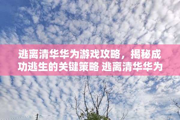逃离清华华为游戏攻略，揭秘成功逃生的关键策略 逃离清华华为游戏攻略