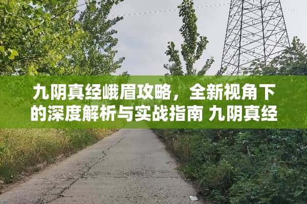 九*真经峨眉攻略，全新视角下的深度解析与实战指南 九*真经峨眉攻略