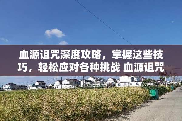 血源诅咒深度攻略，掌握这些技巧，轻松应对各种挑战 血源诅咒流程攻略