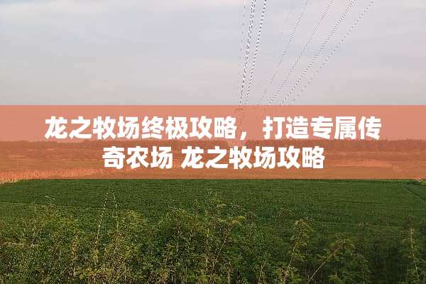 龙之牧场终极攻略，打造专属传奇农场 龙之牧场攻略