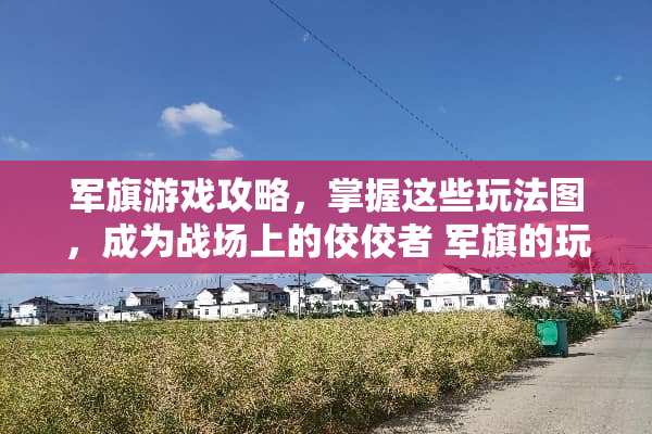 军旗游戏攻略，掌握这些玩法图，成为战场上的佼佼者 军旗的玩法图