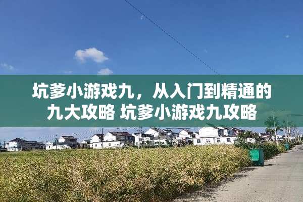 坑爹小游戏九，从入门到精通的九大攻略 坑爹小游戏九攻略