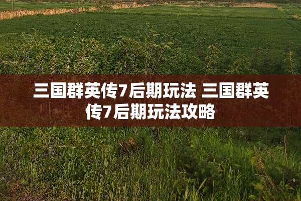 三国群英传7后期玩法 三国群英传7后期玩法攻略