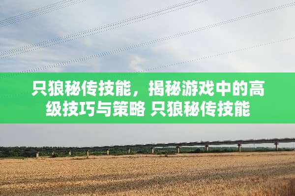 只狼秘传技能，揭秘游戏中的高级技巧与策略 只狼秘传技能