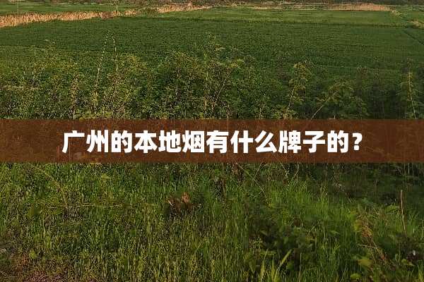 广州的本地烟有什么牌子的？