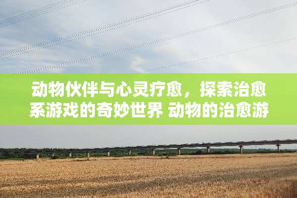 动物伙伴与心灵疗愈，探索治愈系游戏的奇妙世界 动物的治愈游戏攻略