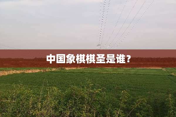 中国象棋棋圣是谁？