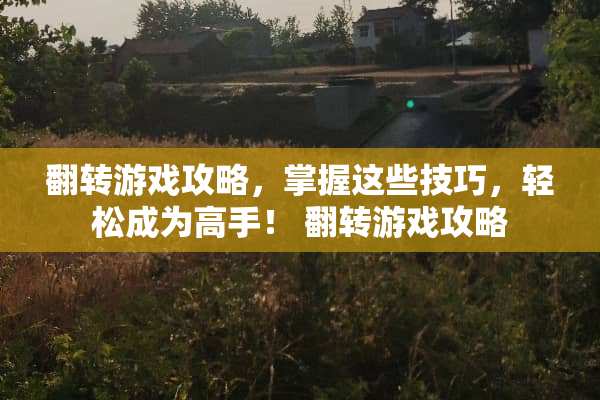 翻转游戏攻略，掌握这些技巧，轻松成为高手！ 翻转游戏攻略