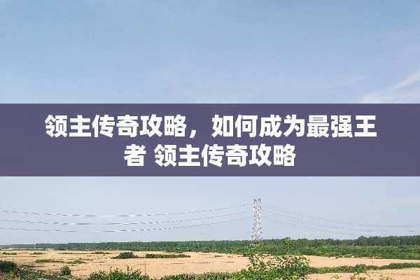 领主传奇攻略，如何成为最强王者 领主传奇攻略