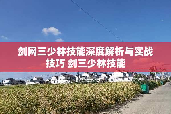 剑网三少林技能深度解析与实战技巧 剑三少林技能