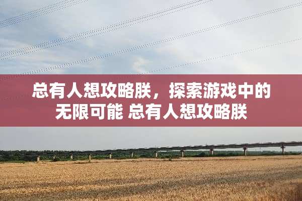 总有人想攻略朕，探索游戏中的无限可能 总有人想攻略朕