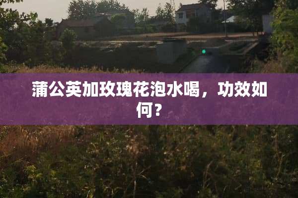 蒲公英加玫瑰花泡水喝，功效如何？