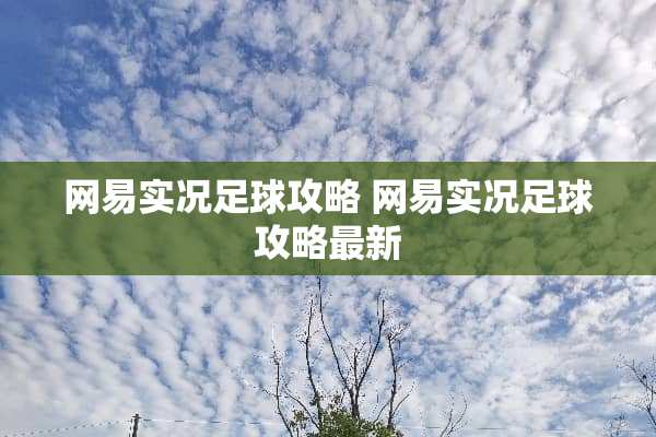 网易实况**攻略 网易实况**攻略最新