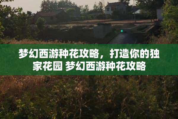 梦幻西游种花攻略，打造你的独家花园 梦幻西游种花攻略