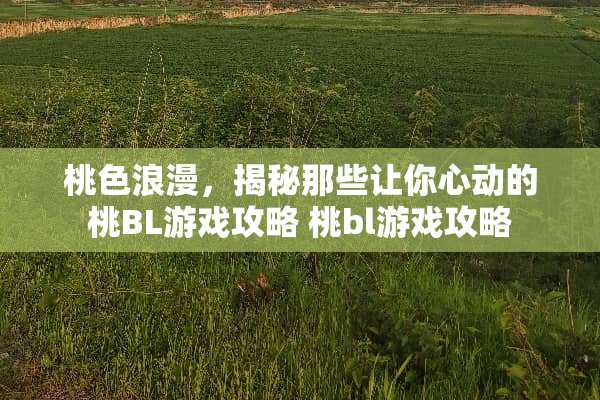 桃色浪漫，揭秘那些让你心动的桃BL游戏攻略 桃bl游戏攻略