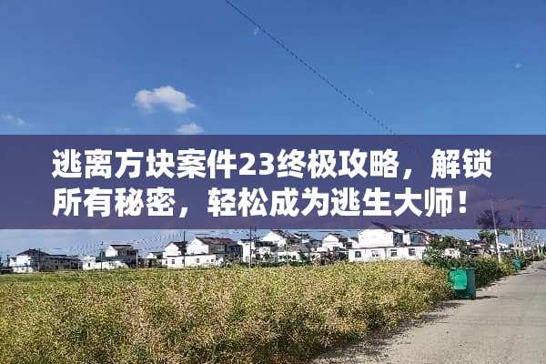 逃离方块案件23终极攻略，解锁所有秘密，轻松成为逃生大师！ 逃离方块案件23攻略