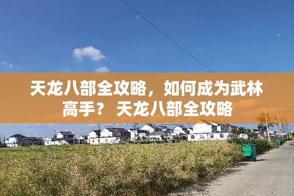 天龙八部全攻略，如何成为武林高手？ 天龙八部全攻略