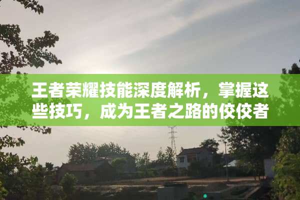 王者荣耀技能深度解析，掌握这些技巧，成为王者之路的佼佼者 王者荣耀技能介绍